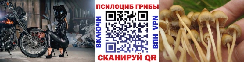 Псилоцибиновые грибы MAGIC MUSHROOMS  закладка  Сибай 